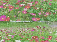 -木洞河街
