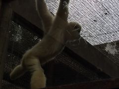 -昆明动物园