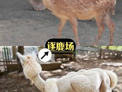 -老鼎万春卤菜(五代传承创始老店)