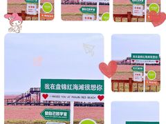 -红海滩国家风景廊道