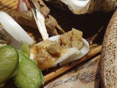 -鸽子窝(青塔店)