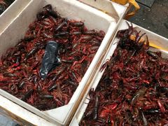 -岳各庄批发市场(西四环中路店)