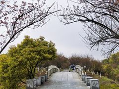 -八大山人梅湖景区