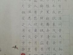 -阿妮亚少儿美术书法(望京店)