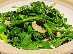 高原板蓝根青菜-老阿爸鲜鱼土菜(园区永旺店)