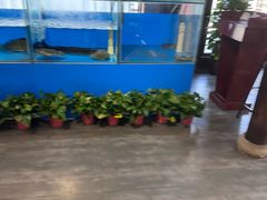 -一品江南韵·淮扬菜