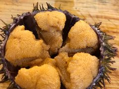 活海胆-皇品田苑日式料理(苏州中心店)