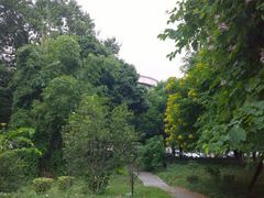 -广西大学(大学东路校区)