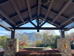 -浙江安吉JW万豪酒店·万豪中餐厅