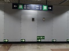 -大望路(地铁站)