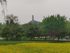 -北坞公园