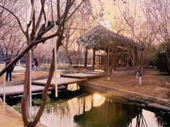 -三里河公园