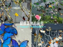 -凯德广场(西城店)