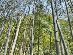 -黄山翡翠谷景区