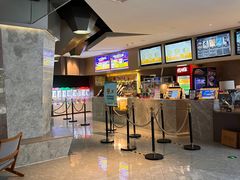 -星河寰宇IMAX影城(星河WORLD·COCO Park店)