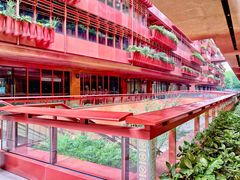 -上海市黄浦区卢湾第一中心小学