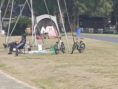 -上海月湖雕塑公园
