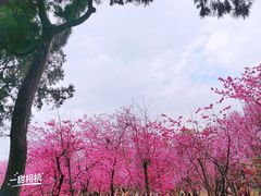 -昆明动物园