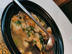 -新概念来凤鱼(璧山店)