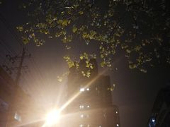 -许大姐龙虾馆(金磐路店)