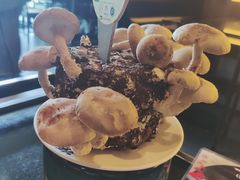 活体菌菇-捞王锅物料理(金城路店)