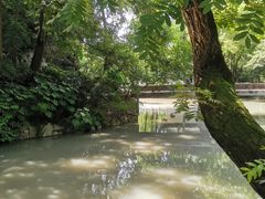 -汇龙潭