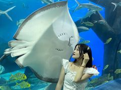 -福州罗源湾海洋世界旅游区