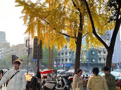 -闻酥园(青羊区人民中路店)