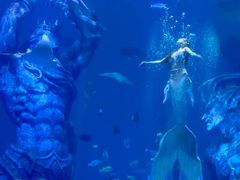 -哈尔滨波塞冬海底世界