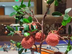 -长安大牌档之上元灯会(南大街店)