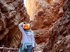 -天山神秘大峡谷