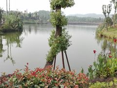 -枫香湖儿童公园