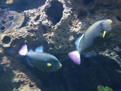 -多彩贵州城极地海洋世界