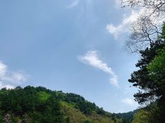 -木兰云雾山
