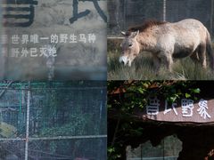 -宁波野生动物园