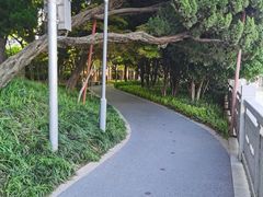 -嘉定紫藤园