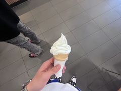 -麦当劳(从化从城大道店)