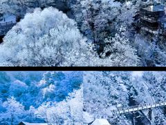 -九如山休闲旅游度假区