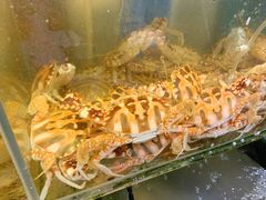 -美味海鲜大排档(明发美食地标店)