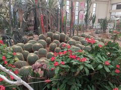 -石家庄市植物园