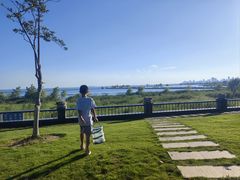 -合肥滨湖国家森林公园