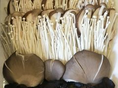 -清真军邺·金富苑肥牛(石坡街旗舰店)