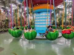 -南宫五洲植物乐园