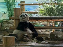 -西霞口神雕山野生动物世界