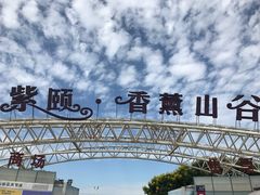 -紫颐香薰山谷景区