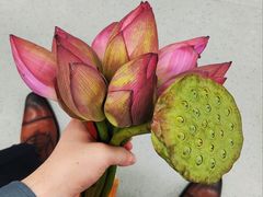 -刘长兴(逸仙桥店)