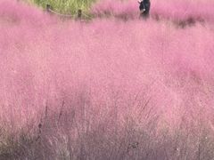 -汉长安城未央宫国家考古遗址公园