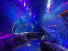 -沈阳海洋探索中心