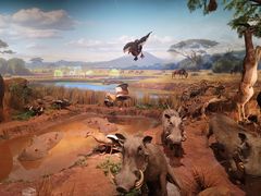 -陕西自然博物馆