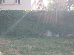 -中国中医科学院西苑医院(本部)